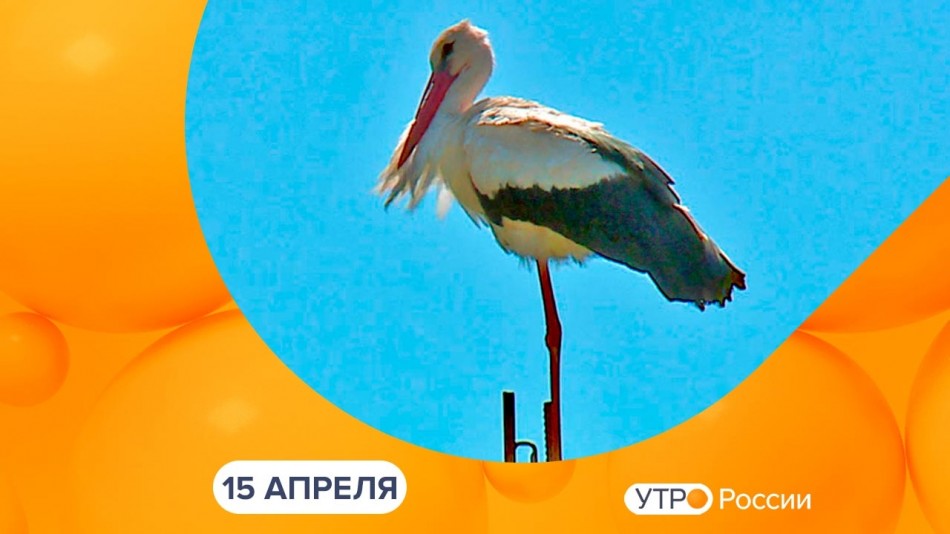 !-УтроРоссииКалуга-восстановлено.jpg