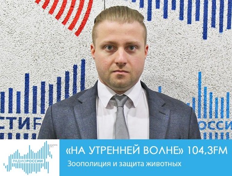 На утренней волне. Зоополиция и защита животных