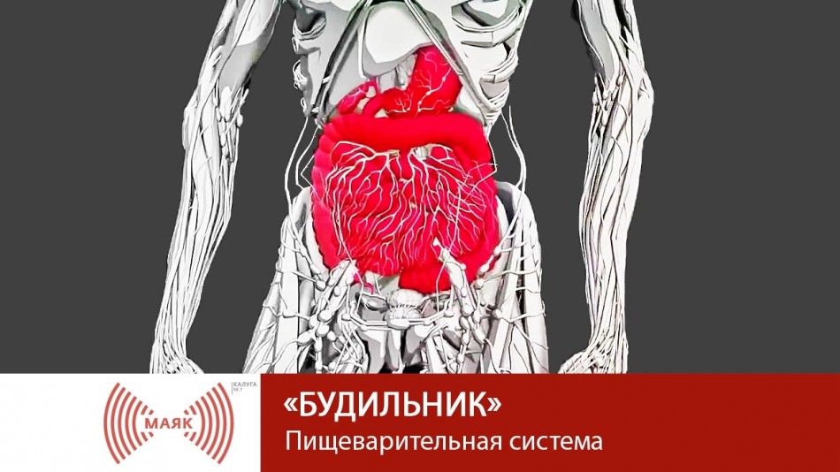 0427-МАЯК-Б.jpg