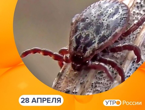Утро России. Калуга (28.04.2021)