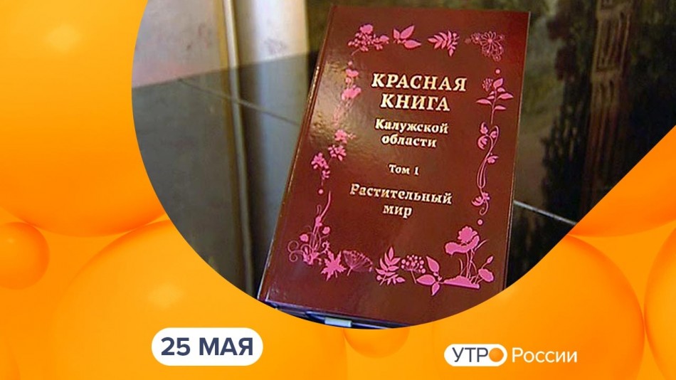 0525-УтроРоссииКалуга.jpg