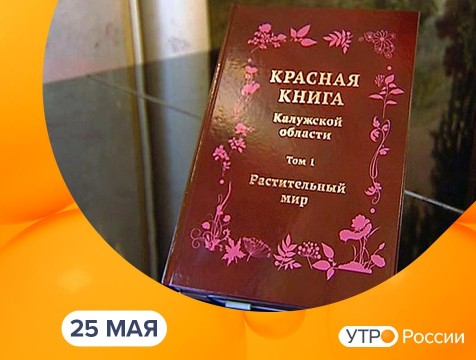 Утро России. Калуга (25.05.2021)