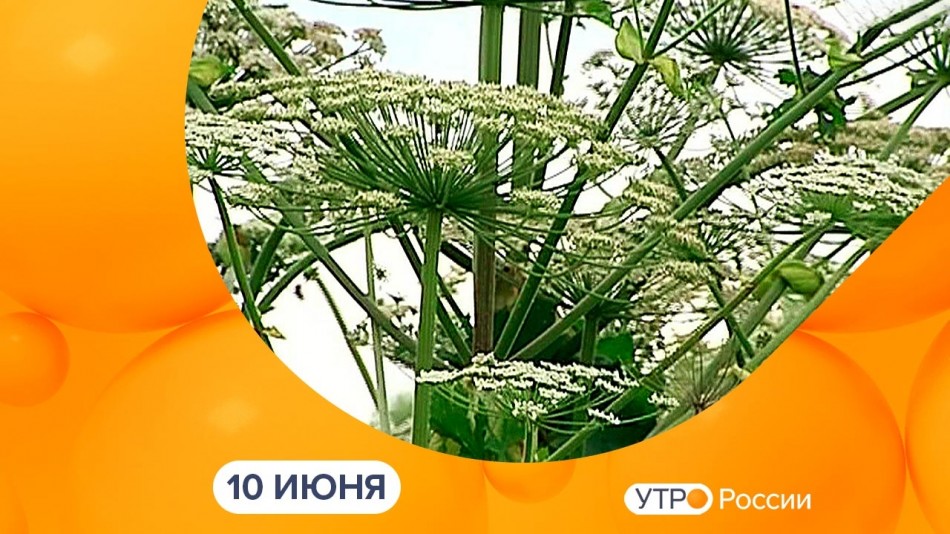 0610-УтроРоссииКалуга.jpg