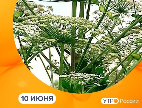 Утро России. Калуга (10.06.2021)