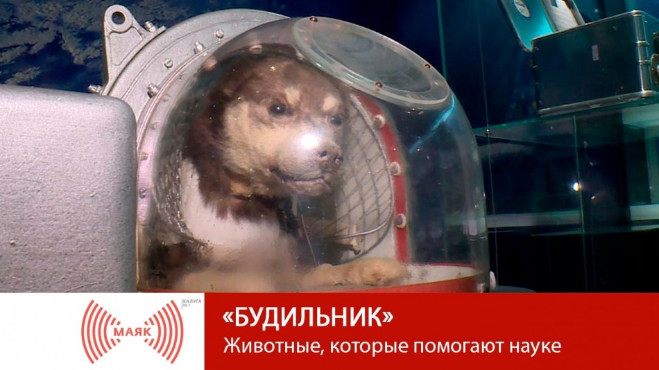 0727-МАЯК-будильник.jpg