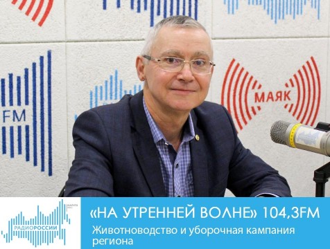 На утренней волне. Животноводство и уборочная кампания региона