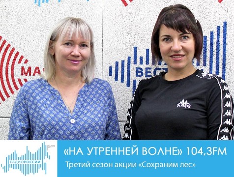 На утренней волне. Третий сезон акции «Сохраним лес»