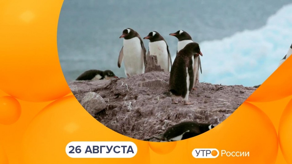 0826-УтроРоссииКалуга.jpg