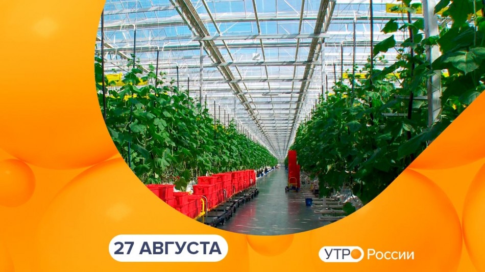 0827-УтроРоссииКалуга.jpg