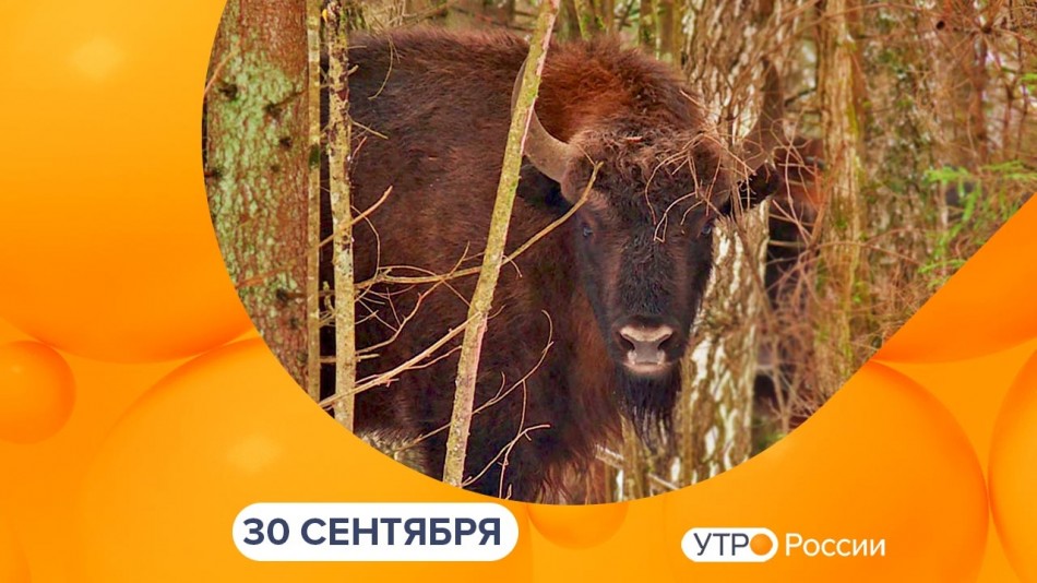 0930-УтроРоссииКалуга.jpg