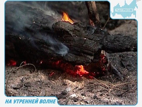 На утренней волне. Эфир от 29.06.2017
