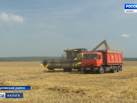 Уборочная страда в колхозе имени Ленина