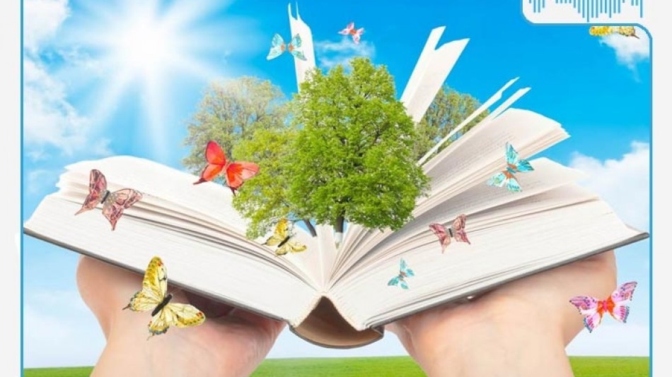 Радио-НВ-Книжный-фестиваль.jpg