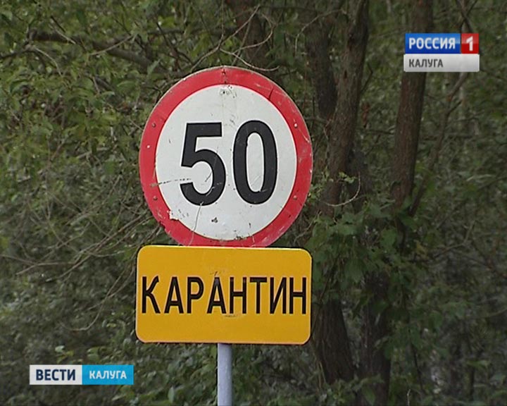Карантин0527.jpg