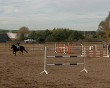 конный-спорт2-1013.jpg