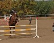 конный-спорт3-1013.jpg