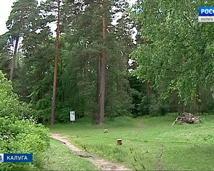 Бор0623.jpg