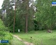 Бор0623.jpg