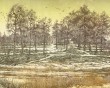 Выставка-Шубина4-1019.jpg