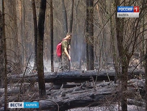 40 гектаров леса сгорело в регионе за сезон пожаров