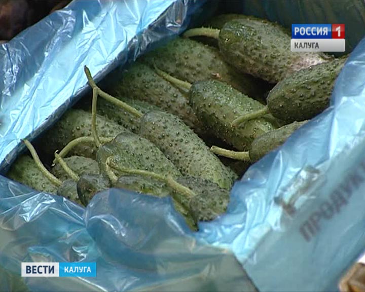 Огурцы0902.jpg