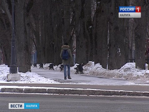 Похолодание в регионе продлится до понедельника