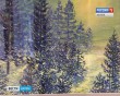 Чижевский3-0207.jpg