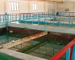 Отчисные1128.jpg