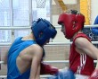кубок-Угра-бокс2-1215.jpg