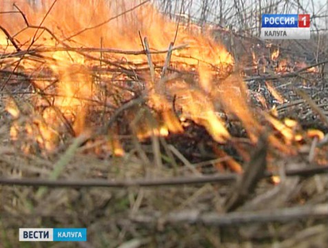 На профилактику природных пожаров область потратит около 30-ти миллионов рублей