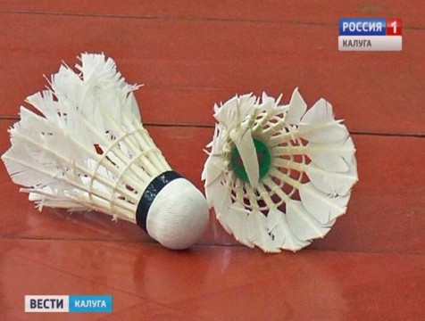 Коллекцию наград в Раменском собрали калужские бадминтонисты