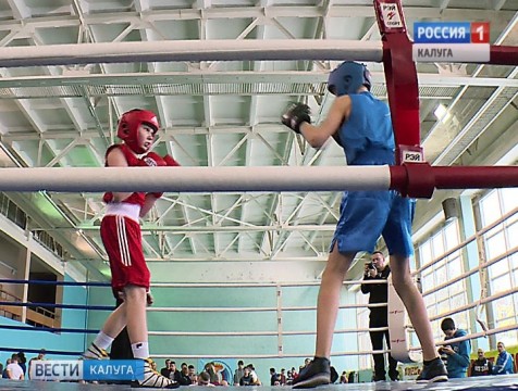 Обнинск на три дня превратился в центр регионального бокса
