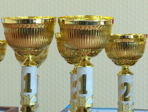 Лучшего спортсмена региона будут определять каждый месяц