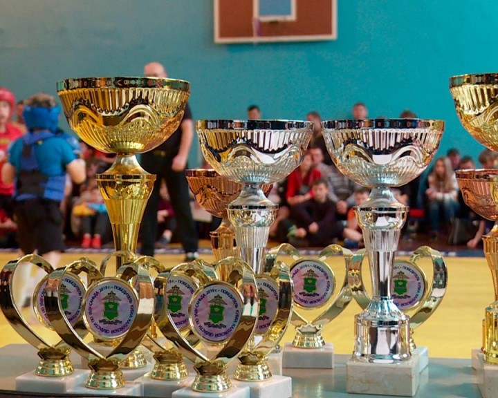 Кубок-по-боевым-искуствам2-0128.jpg