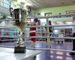 Бокс-Обнинск2-0129.jpg