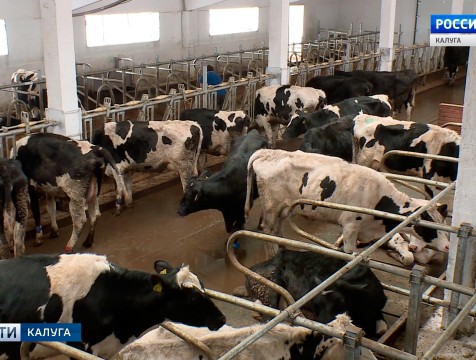 Объём производимой регионом мясной продукции вырос на 14,5%