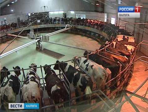 Крупные торговые сети не спешат поддерживать проект «Калужский фермер»