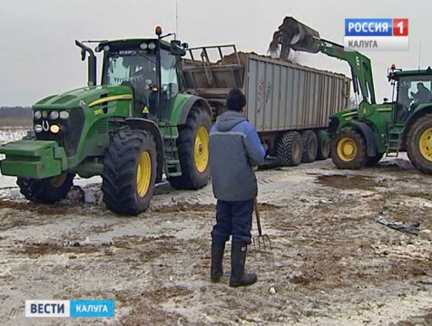 Банки стали реже выдавать кредиты сельхозпроизводителям региона