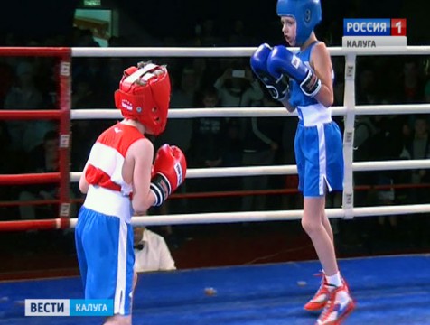 В Кондрове прошел V турнир по боксу памяти Евгения Радунского