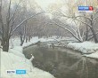 Выставка-Шилов3-0225.jpg