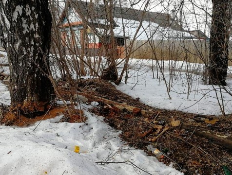 Человеческий череп и кости обнаружил житель Кондрова около гаражей