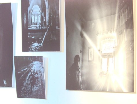 50 фоторабот Алены Кочетковой представлено на выставке в Доме музыки