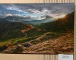 Фото-дикой-природы2-0822.jpg