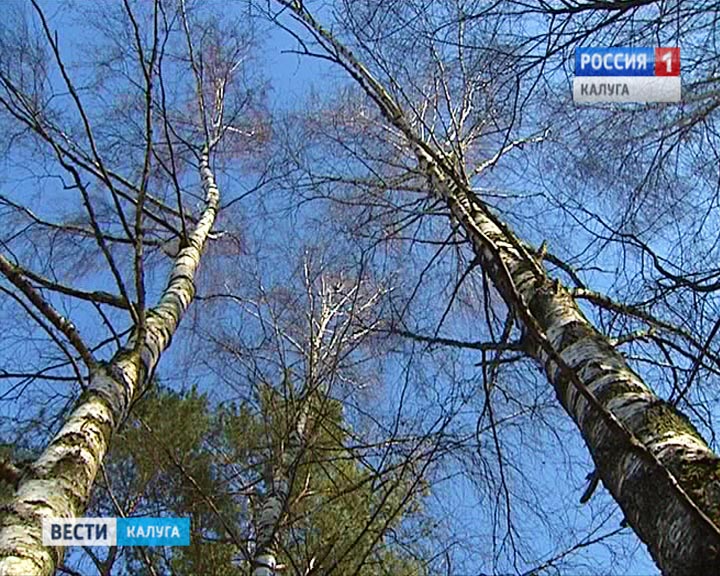 Погода0304.jpg