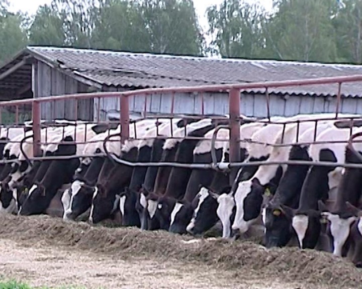 Ферма0625.jpg