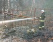 Пал-травы-Белкино1-0422.jpg