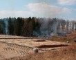 Пал-травы-Белкино2-0422.jpg