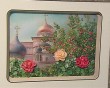 Выставка-Солнца-аромат7-0506.jpg