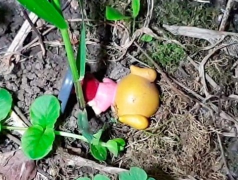 Следственный комитет проводит проверку по факту падения ребенка из окна