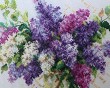 Выставка-Зоновой3-0603.jpg